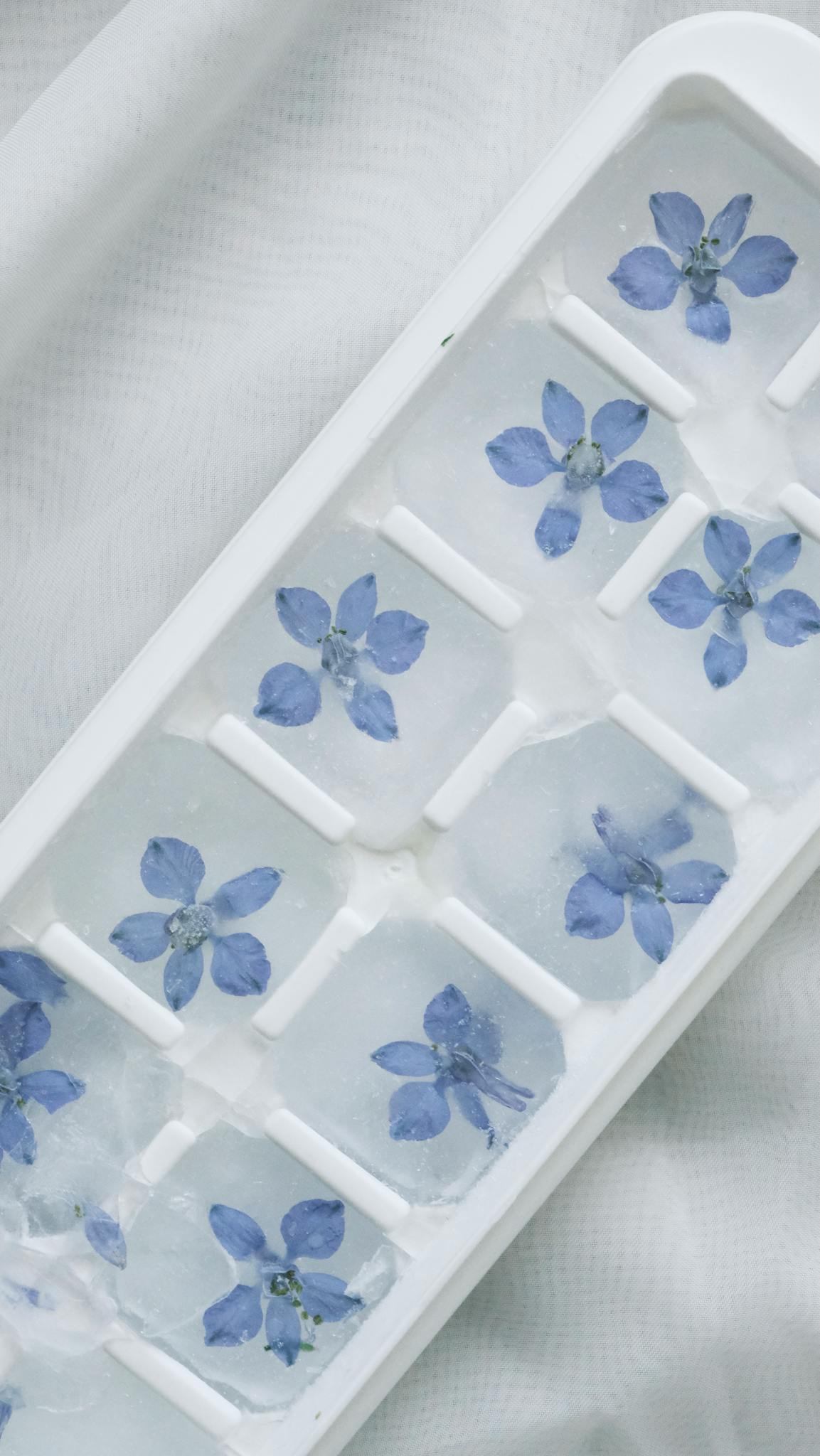 Artistic ice cube tray with embedded blue flowers for a fresh, creative touch.